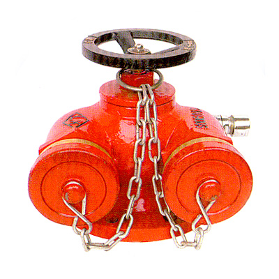 组合式水泵接合器图片图片